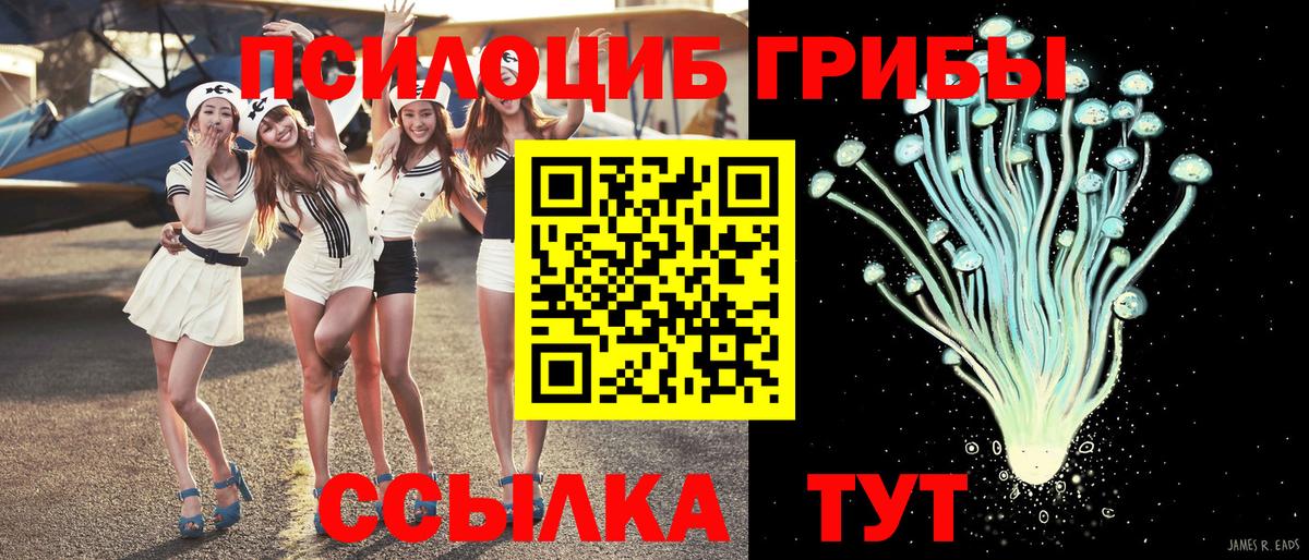 Скопин  Галлюциногенные грибы Magic Shrooms  наркошоп  Вход с VPN 