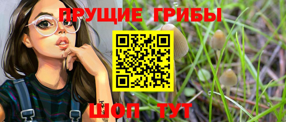 Псилоцибиновые грибы Cubensis Скопин